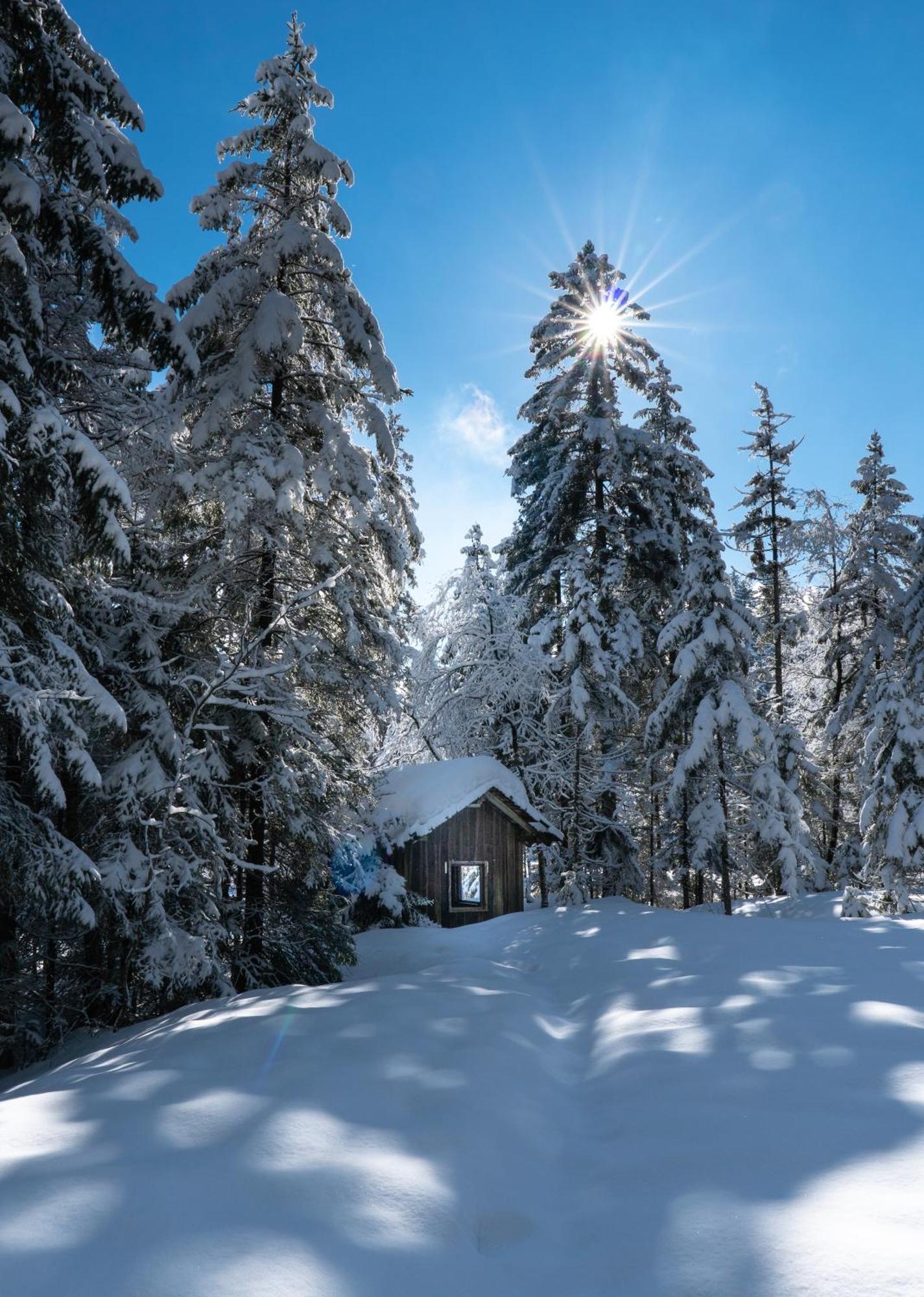 Ferienwohnung Bergpfote - Hund Herzlich Willkommen Scheidegg Exterior foto