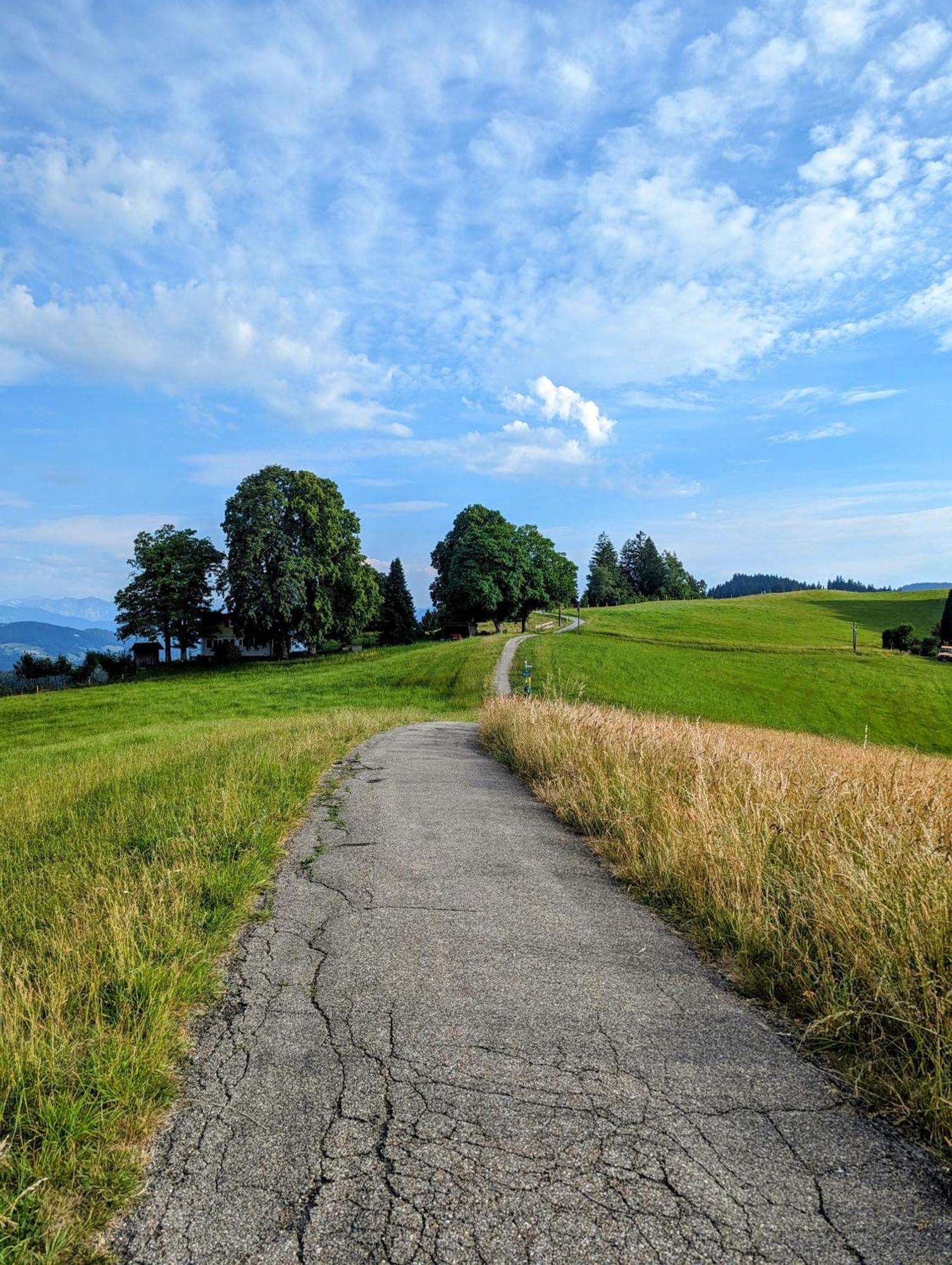 Ferienwohnung Bergpfote - Hund Herzlich Willkommen Scheidegg Exterior foto